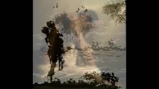 Baby Doll Blues 2015