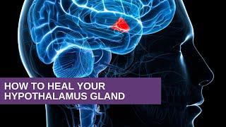How to Heal Your Hypothalamus Gland