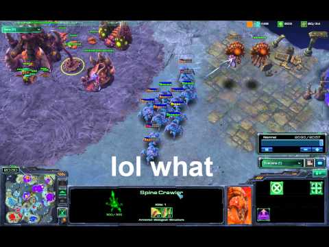 Spine Crawler vs. Blink Stalker