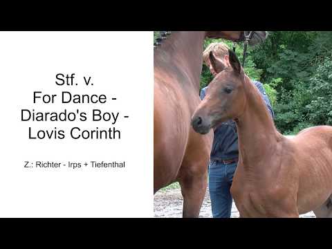 Stf v For Dance x Diarados Boy x Lovis Corinth 2020