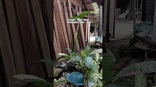 Download lagu Salah Benar ❗ Cak Nun ❗ Viral | Ucapan Cak Nun | Maiyah | Sinau Bareng Cak Nun #motivasihidup mp3