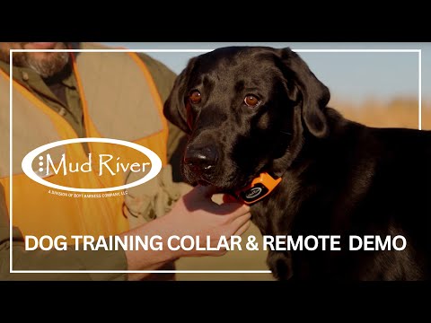 Boyt Pro Series Upland Vest