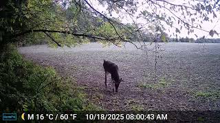 d59f5263 3e54 423b 88ca 2aeeb48cbb2f