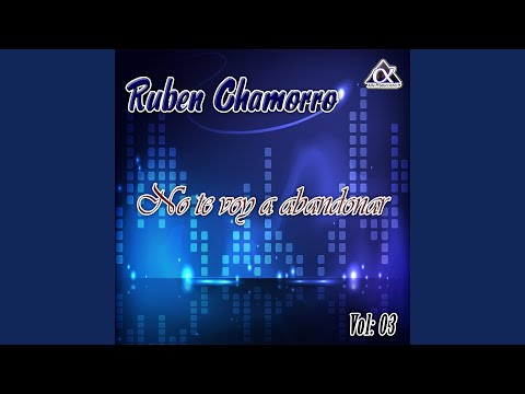 No Te Voy a Abandonar