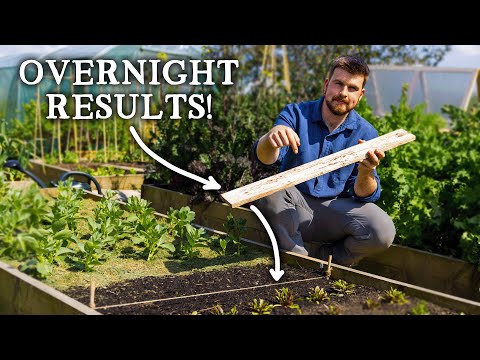 FREE Slug Control Trick Every Gardener Can Use Today!