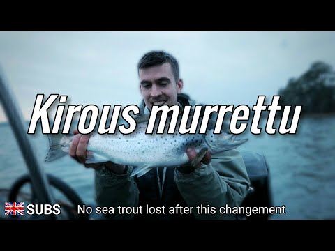 Syksyn paras meritaimenen kalastus reissu🤟🏻