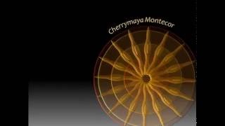 Wut im Bauch Oktober 2016