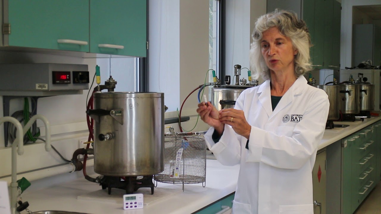 Putar video Apakah Itu Indikator Biologi sekarang Apakah Itu Indikator Biologi