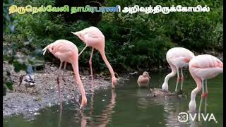 Download lagu உலக நல வாழ்த்து । ULAGA NALA VAZHTHU mp3