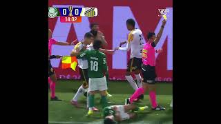 CLIMA QUENTE NA FINAL | PALMEIRAS 0x0 NOVORIZONTINO | PAULISTÃO 2026 | 04/03/2026