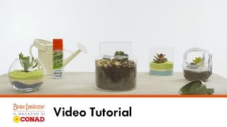 2 terrarium per piante grasse | Tutorial Conad Bene Insieme