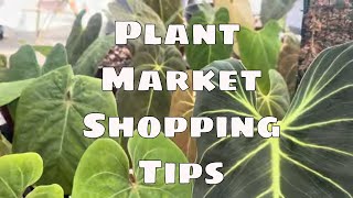 🌱 Rare Plant Heaven! Ecuagenera D'Vine Market Tour + Plant Market Shopping Tips / Peggy's Plants