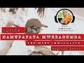 Namupapata Mwekabumba Lyrics Bemba The Mary Immaculate English Choir