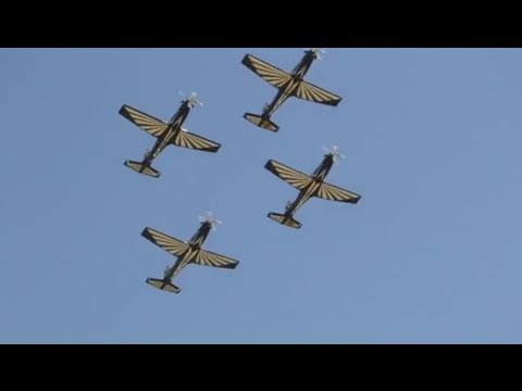 Silver Falcons in the Bay and City of Saints