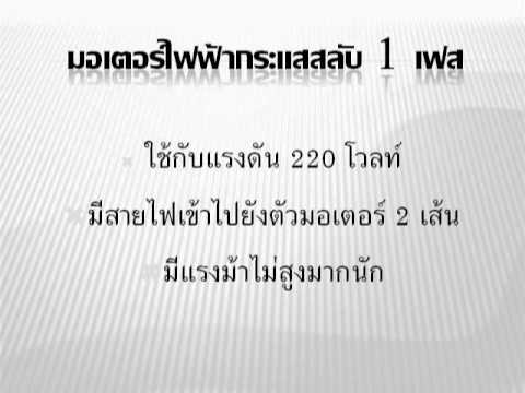 ยาเกินขนาดเชื้อโรคม้า Tinctures ส่วนผสมเพื่อเพิ่มความแข็งแรง