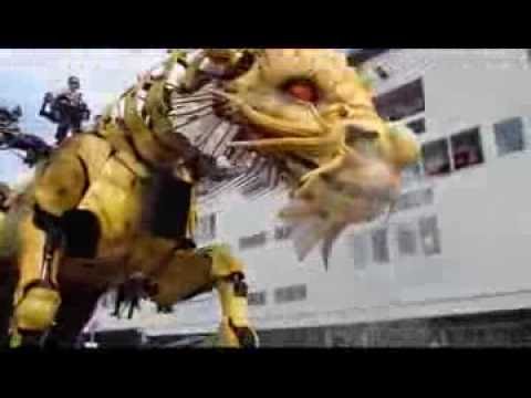 festivité calais 26/06/2016 n2