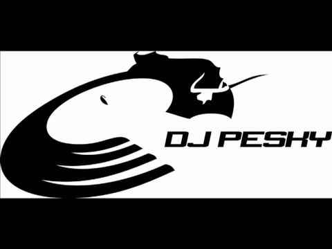 Party Rock Anthem & Levels MASHUP