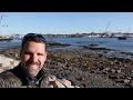 Herring Gull Aka Seagull Learn A Bird Episode 6