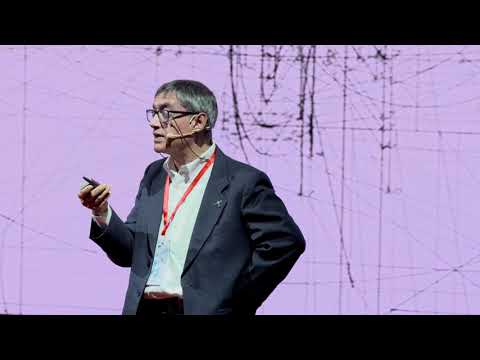 From chaos to order | Rafael Araujo | TEDxHangzhouSalon