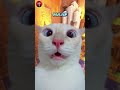 Tahan Senyum Part 72 Sapi Kurban Meme Memes Memengakakkocak