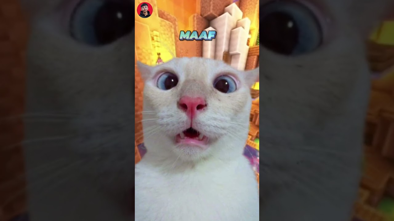 Tahan senyum (part 72). Sapi kurban  #meme #memes #memengakakkocak