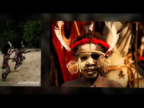 Lagu Daerah Papua,Mecu Imbiri - LENSO MIDLEY