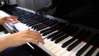 Arwen's Vigil (The Piano Guys Cover)