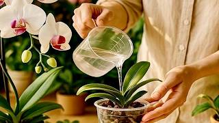 These Free Fertilizers are Better Than Store Bought! 😮 ✨