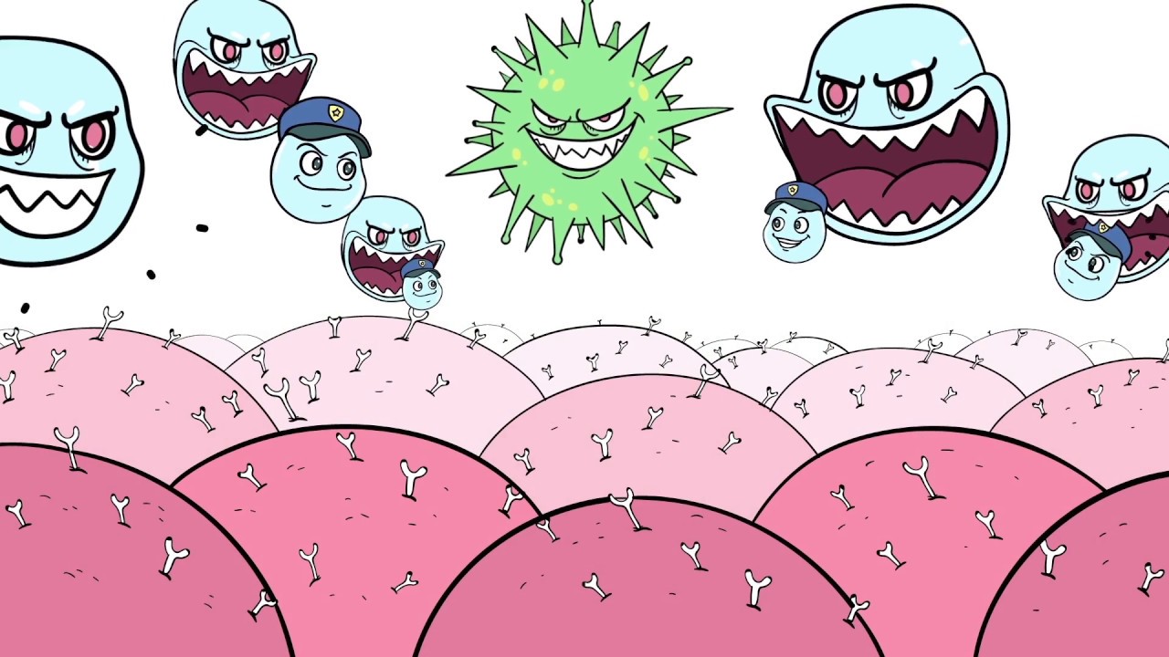 Gustavo Netzahualcóyotl Damian Abrego-13