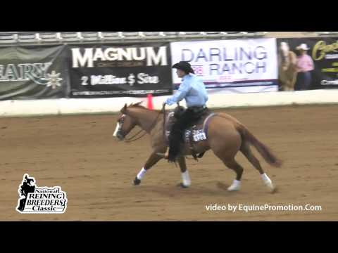 Cool N Dun Gunner ridden by Tell Edgmon - 2014 NRBC(Open Finals Sec. 1)