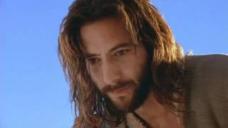 The Swift - Nothing But The Blood