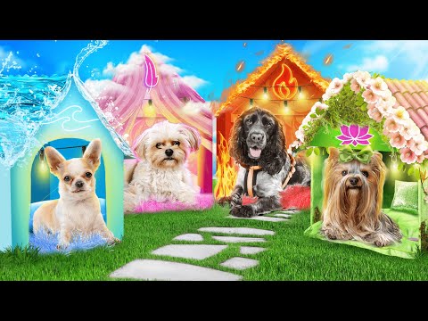 We Build Secret Rooms! Secret Rooms for Pets! We Adopted 4 Elements` Pets!