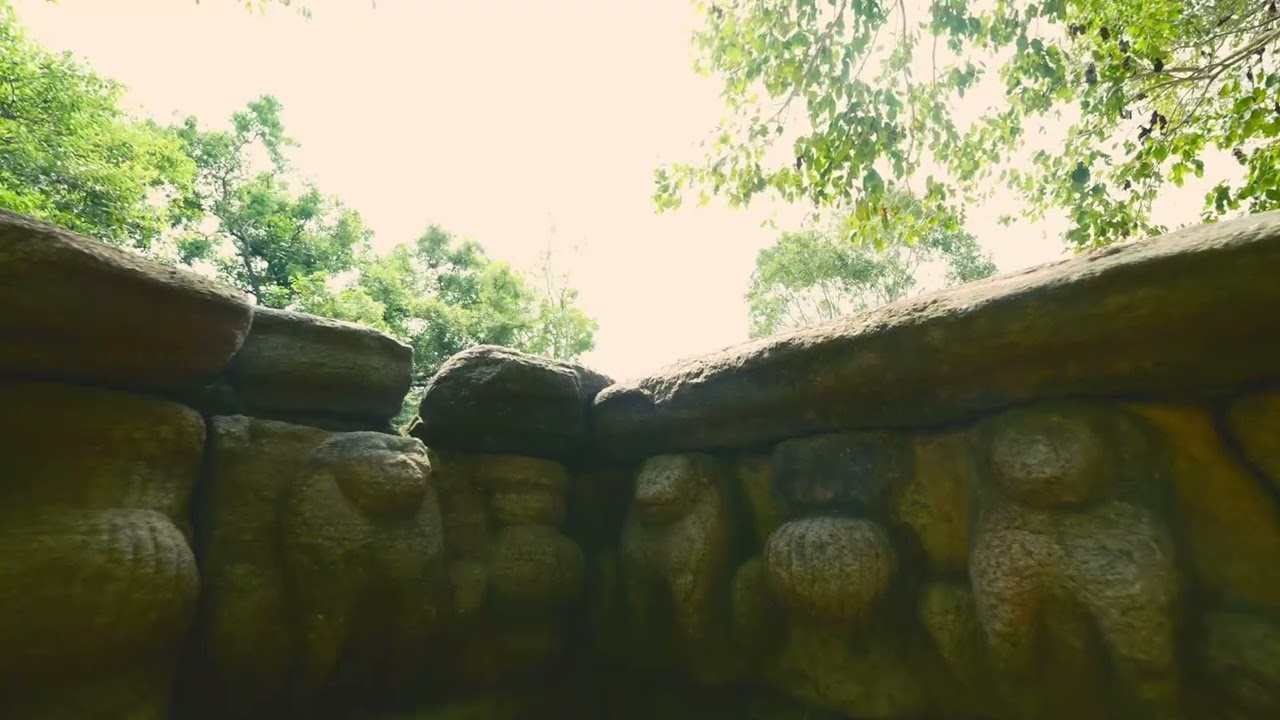 Discover a captivating glimpse of Magul Maha Viharaya.