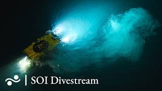 Romanche Fracture Zone East Dive 6 | SOI Divestream 976