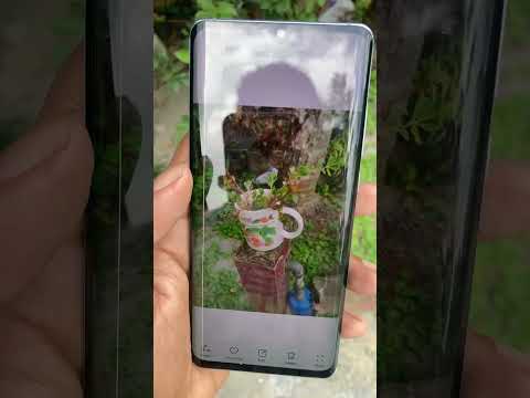 Huwaei P30 Pro #cameratest #2024