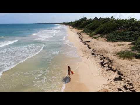 Eroding Our Shores - What's Causing Beaches to Wash Away