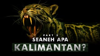 Download lagu Apa Yang Tersembunyi di Balik Hutan Paru-paru Dunia? | Pulau Kalimantan – Part 2 mp3