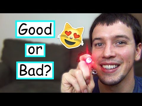 Are Laser Pointers Bad For Cats?