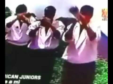 Vuelve Junto A Mi - Juanito Y Su American Júnior