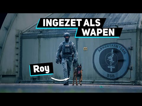 Honden Bij Het Arrestatieteam Van De BSB | Military Dogs | #4