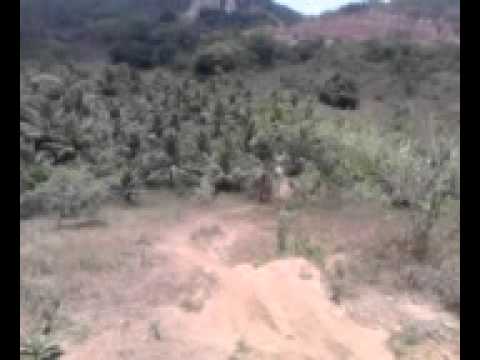 Trilha da Equipe Rolimti com Vira Bicho