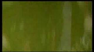 Slayer - Hallowed Point - Live