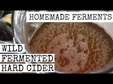 HOW TO MAKE WILD FERMENTED HARD CIDER USING FRESH APPLES