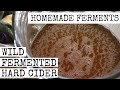 HOW TO MAKE WILD FERMENTED HARD CIDER USING FRESH APPLES