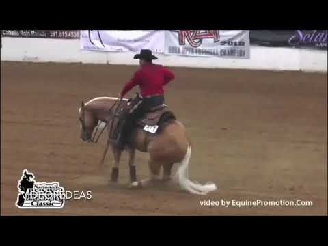 Big Shiner & Shawn Flarida