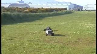 preview picture of video '3 hpi Bajas  running wild on the grass at arklow.'