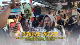Download lagu PECAK WELUT‼️VOC. ENTUNG || ANGGA PUTRA LIVE SHOW JATIMULYA BLOCK PEDATI 2 mp3