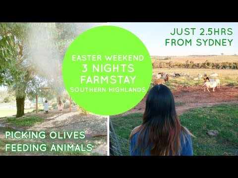 3 Night Easter Weekend Escape - I fed an alpaca! ♥ ♥