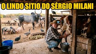 ESSE SOBE E DESCE NO PREÇO DEIXA A GENTE DOIDO