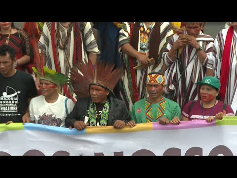 Thousands take part in 'Our future is not for sale' march in Brasilia | AFP
